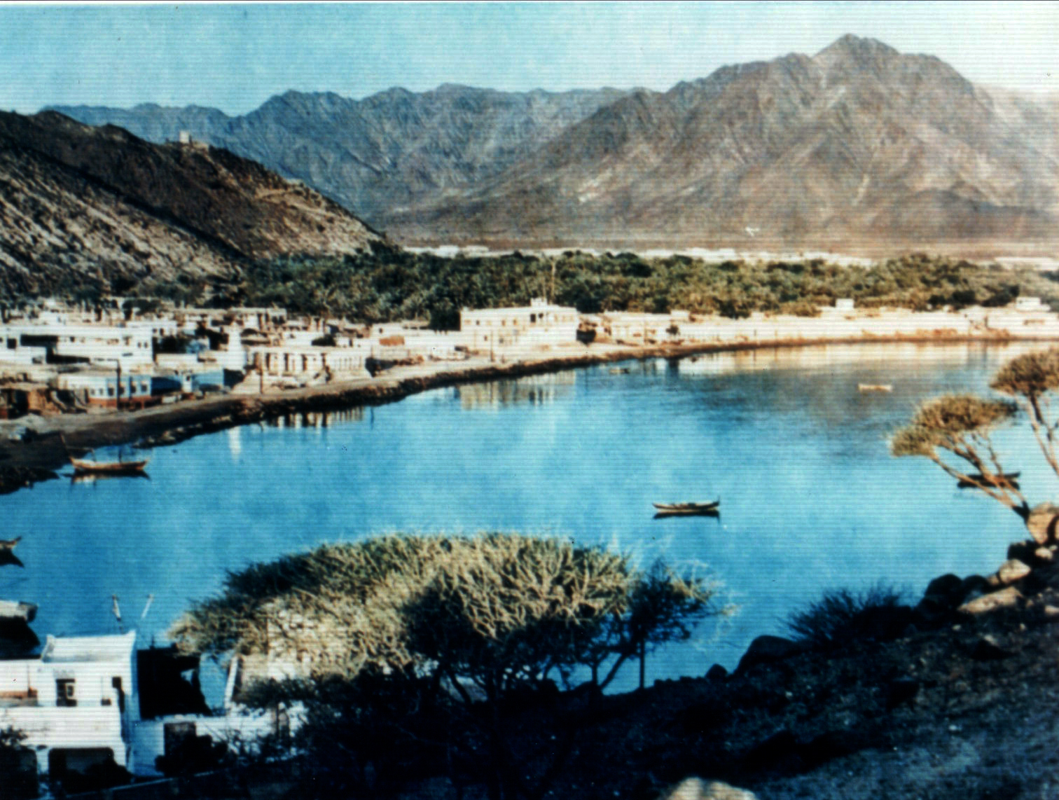 أعماقٌ دافئة
